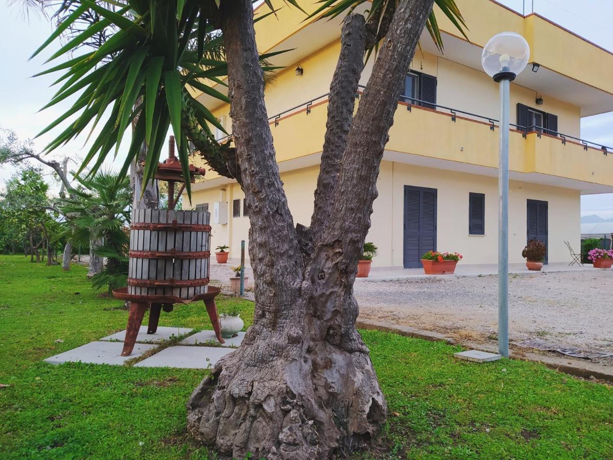 Casa Vacanze Paradise Santa Maria La Carità Екстериор снимка