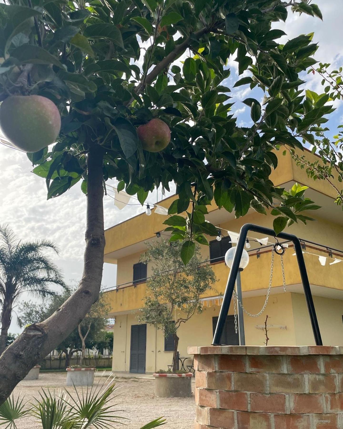 Casa Vacanze Paradise Santa Maria La Carità Екстериор снимка
